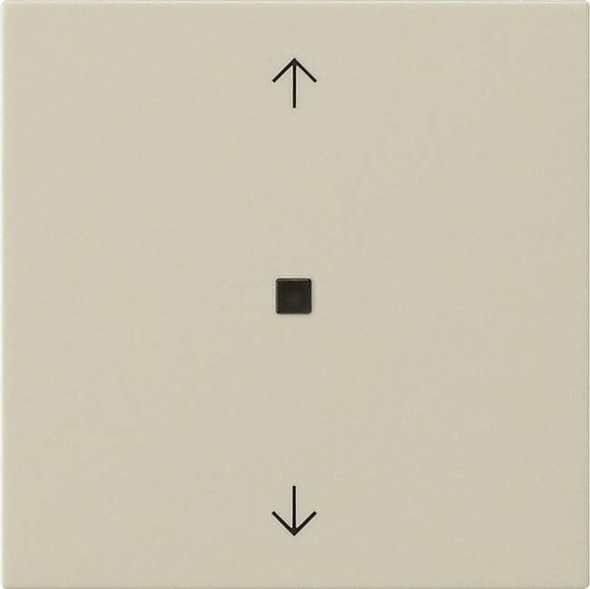 Gira Wippe 1-fach 538801