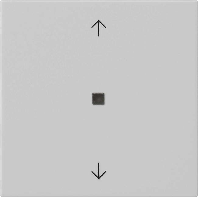 Gira Wippe 1-fach 5388015