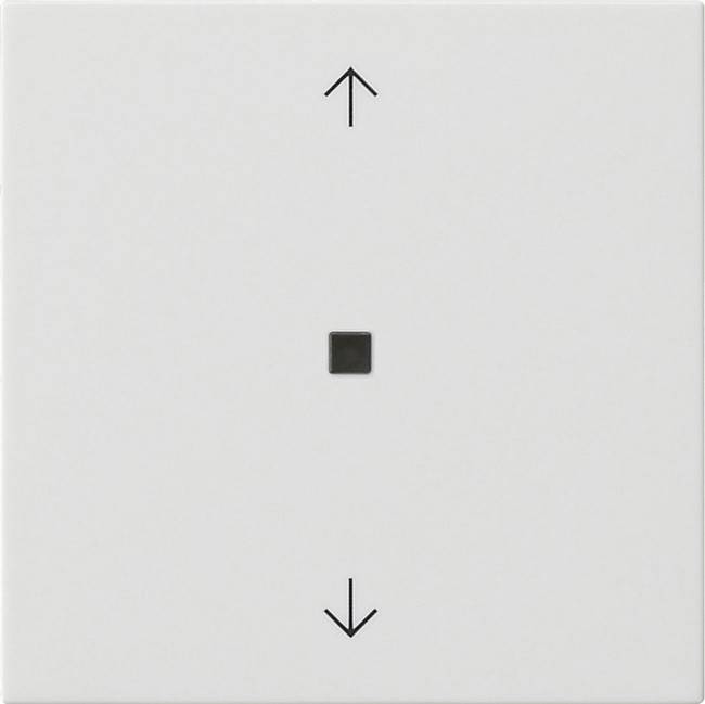 Gira Wippe 1-fach 538803