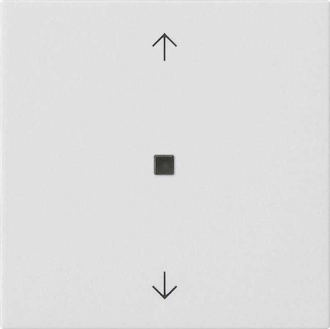 Gira Wippe 1-fach 538827