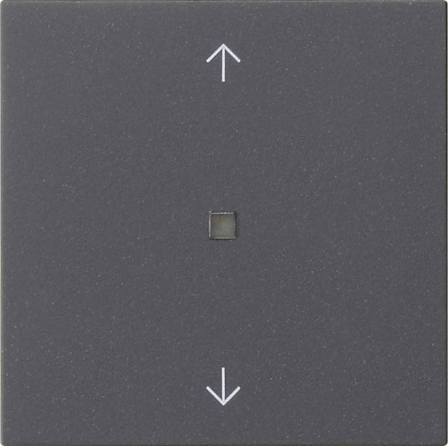 Gira Wippe 1-fach 538828