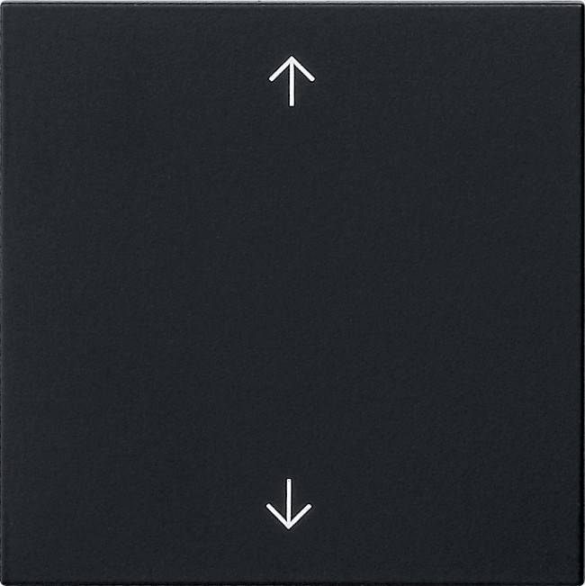 Gira Wippe 1-fach 5389005