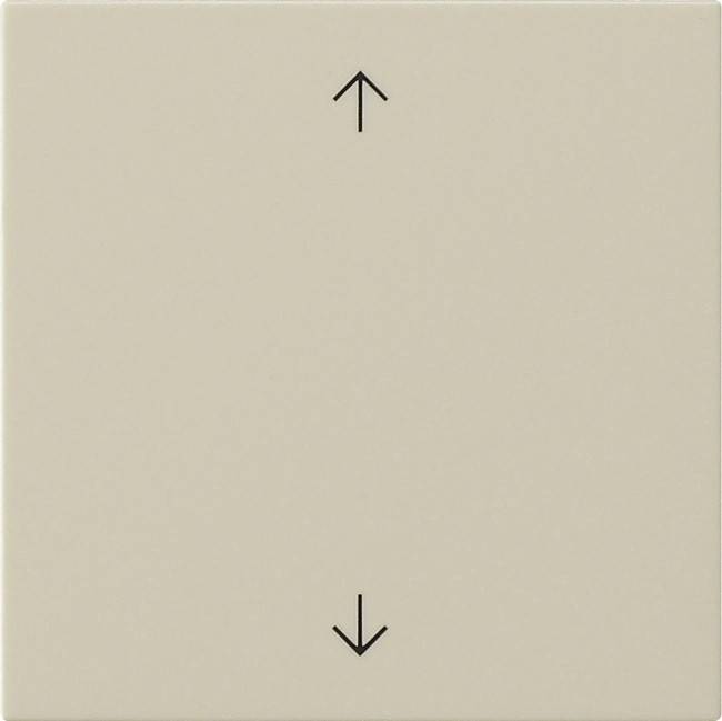 Gira Wippe 1-fach 538901