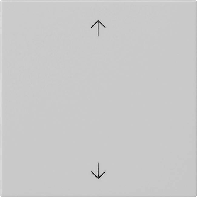 Gira Wippe 1-fach 5389015