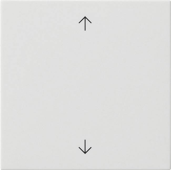 Gira Wippe 1-fach 538903