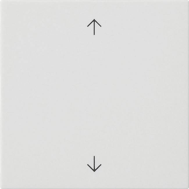 Gira Wippe 1-fach 538927