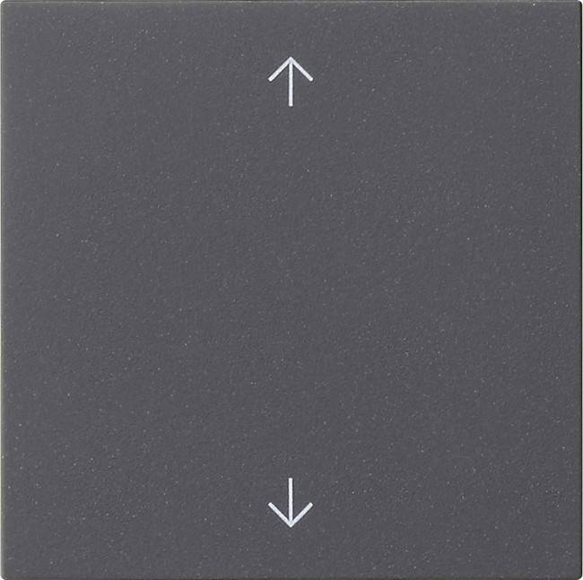 Gira Wippe 1-fach 538928