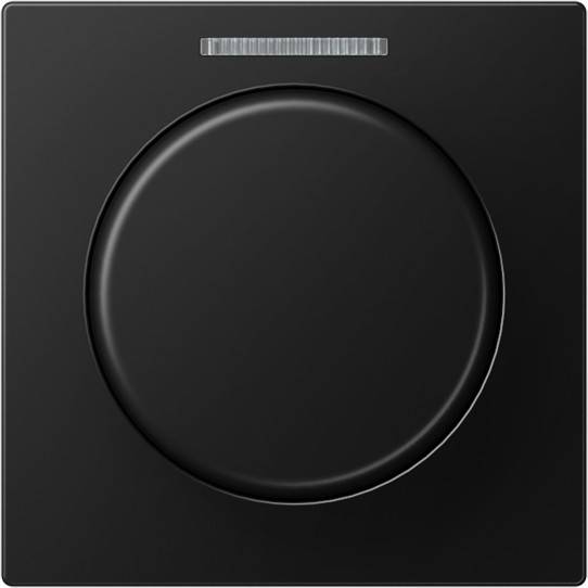 Jung Abdeckung mit Lichtleiter A 1540 BF KO5 SWM