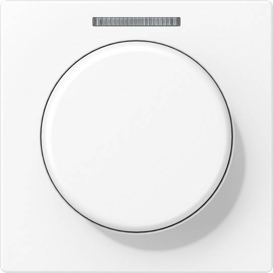 Jung Abdeckung mit Lichtleiter A 1540 BF KO5 WWM