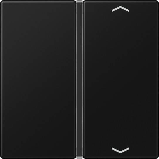 Jung Taste 1-fach A 401 TSAP SWM