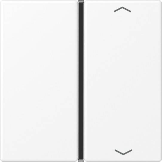 Jung Taste 1-fach A 401 TSAP WWM