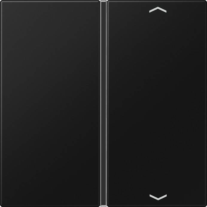 Jung Taste 1-fach LS 401 TSAP SWM