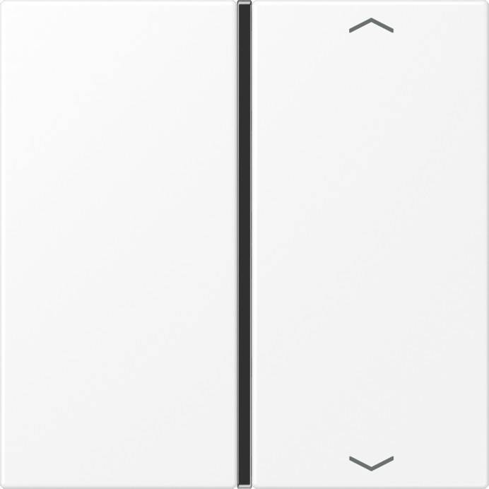 Jung Taste 1-fach LS 401 TSAP WWM