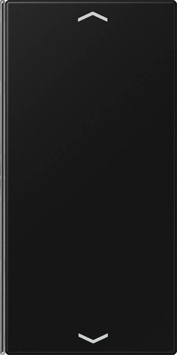 Jung Taste 2-fach LS 402 TSAP SWM