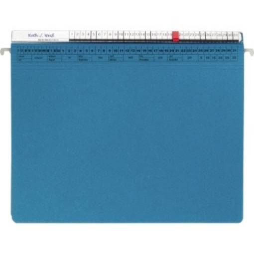 ORGALEX Hängehefter 1207707 2Abheftvorr. Re-Heftung blau