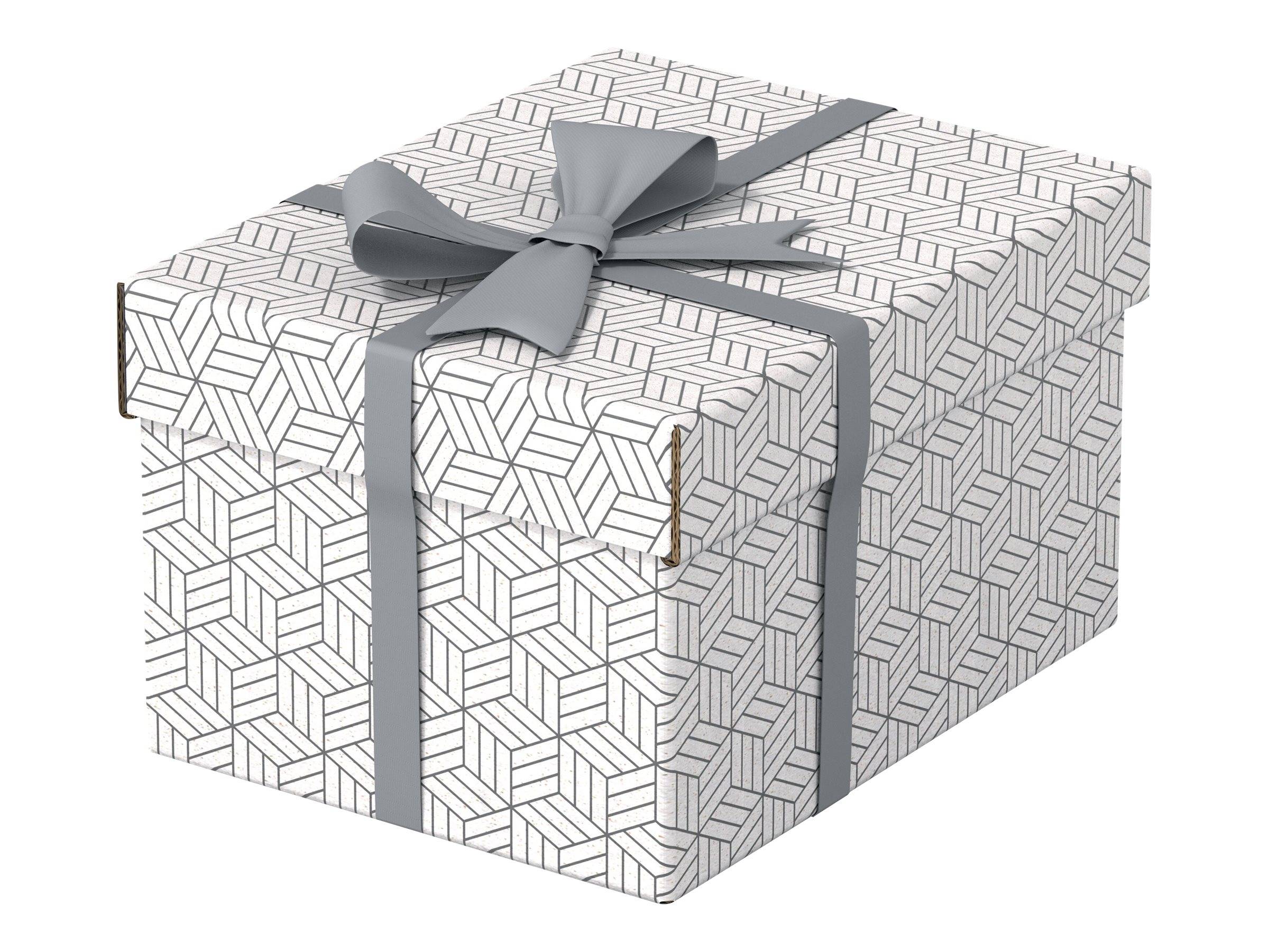 ESSELTE LEITZ - Esselte - Geschenkkarton - small - 25.5 cm x 20 cm x 15 cm