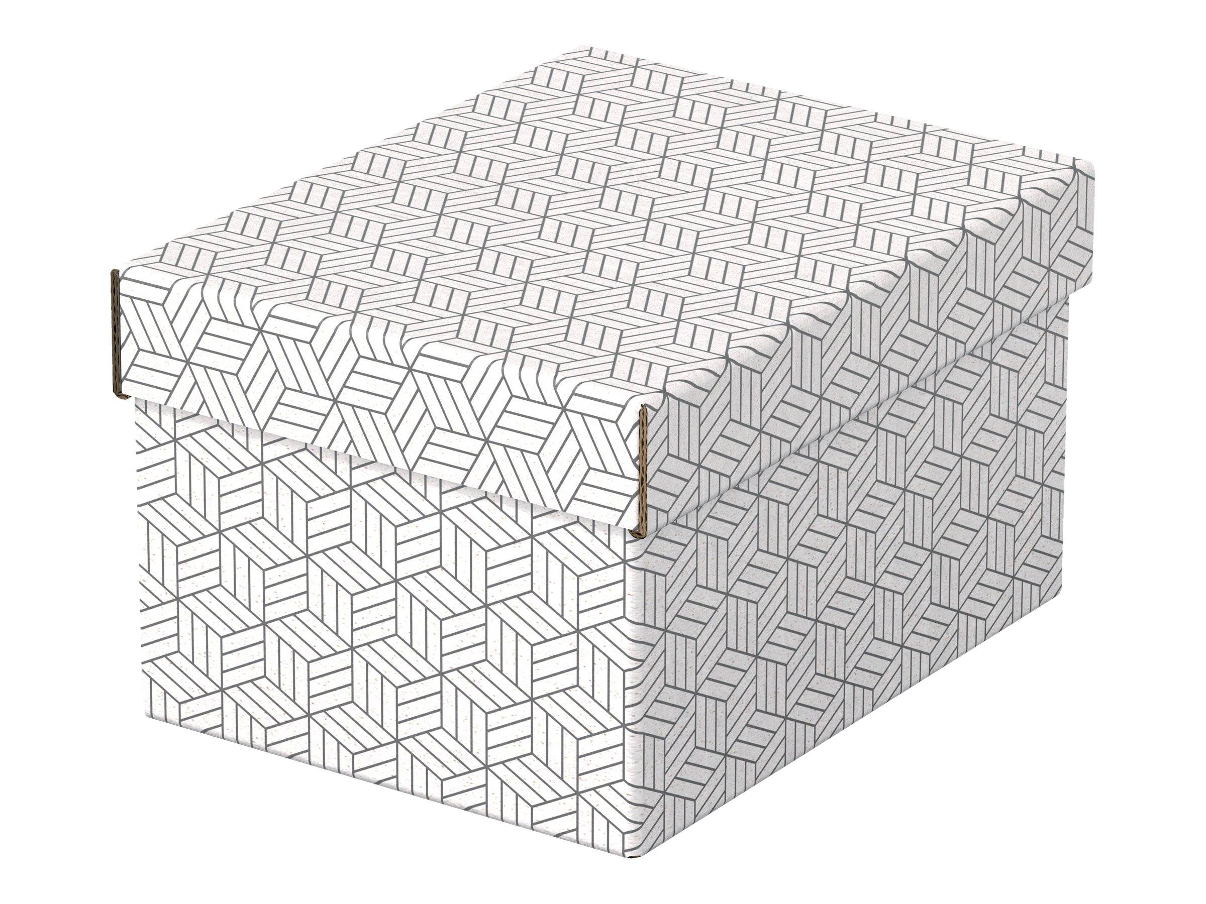 Esselte Leitz Geschenkkarton - small - 25.5 cm x 20 cm x 15 cm