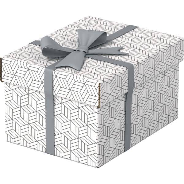 Aufbewahrungsbox Home Klein mit Deckel Wellpappe VE=3 Stück weiß