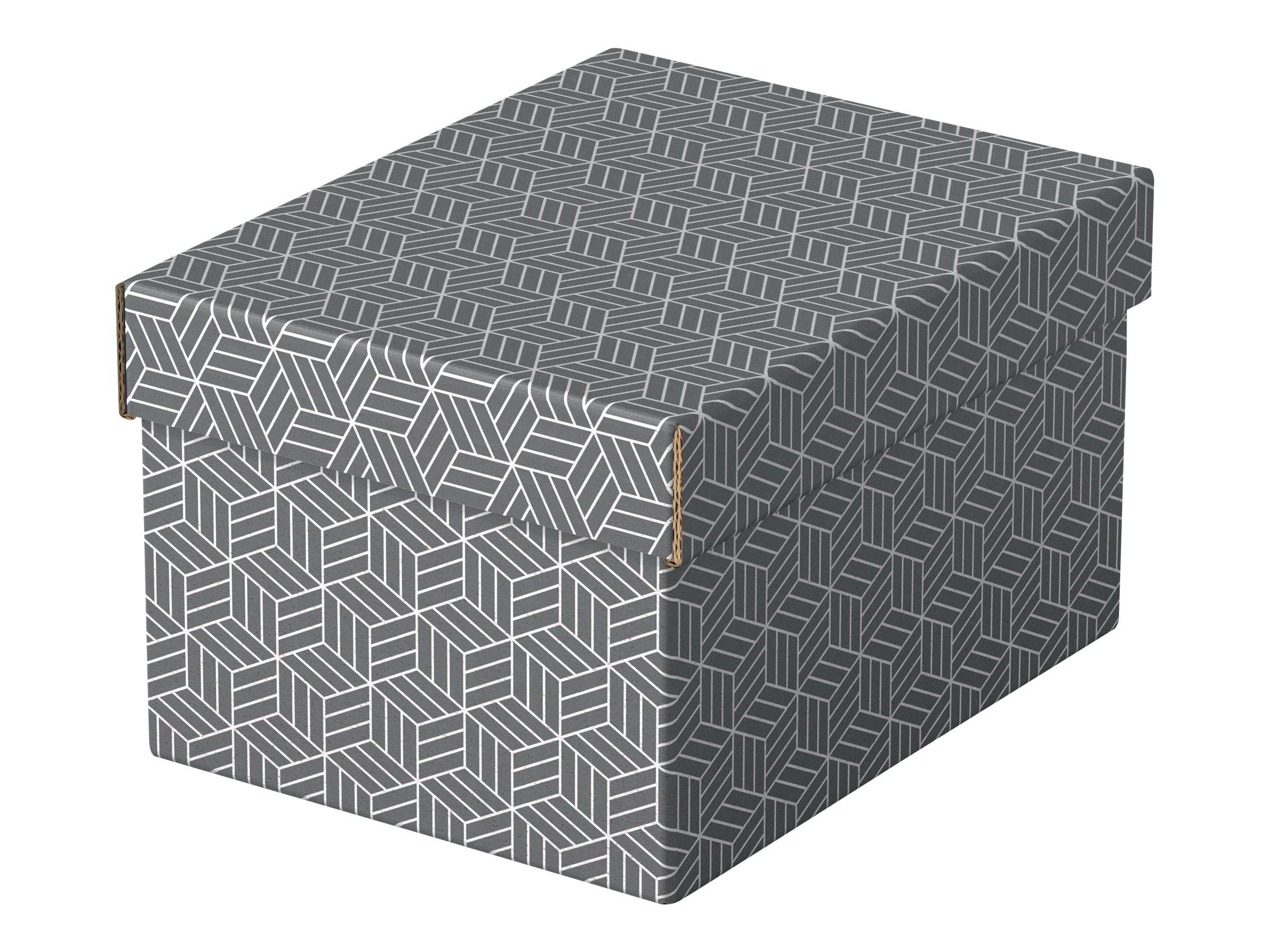 ESSELTE LEITZ - Esselte Home - Aufbewahrungsbox - S - Grau (Packung mit 3)