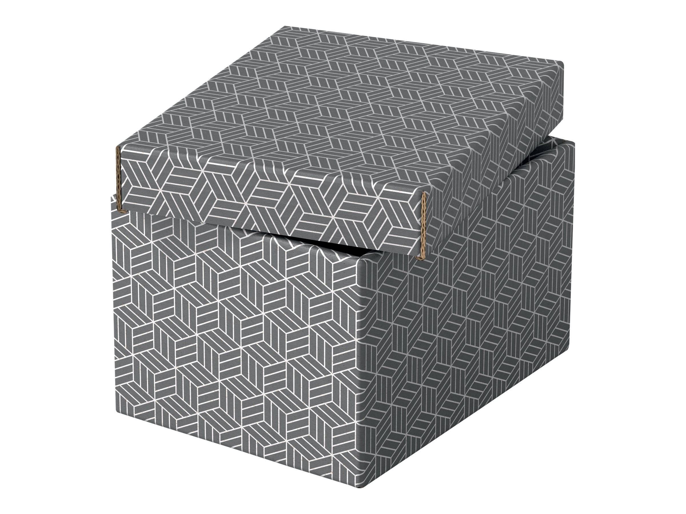 ESSELTE LEITZ - Esselte Home - Aufbewahrungsbox - S - Grau (Packung mit 3)