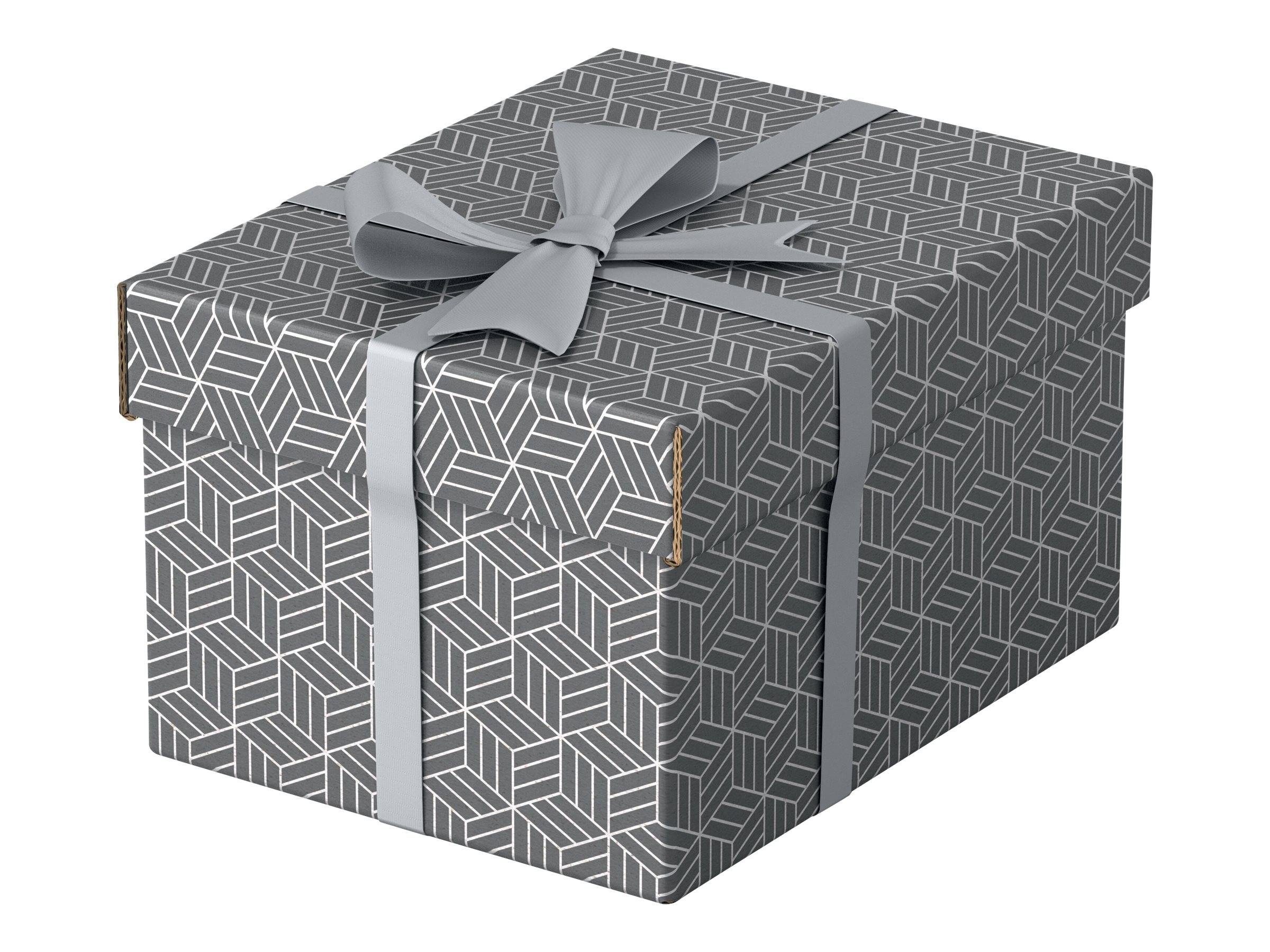 ESSELTE LEITZ - Esselte Home - Aufbewahrungsbox - S - Grau (Packung mit 3)