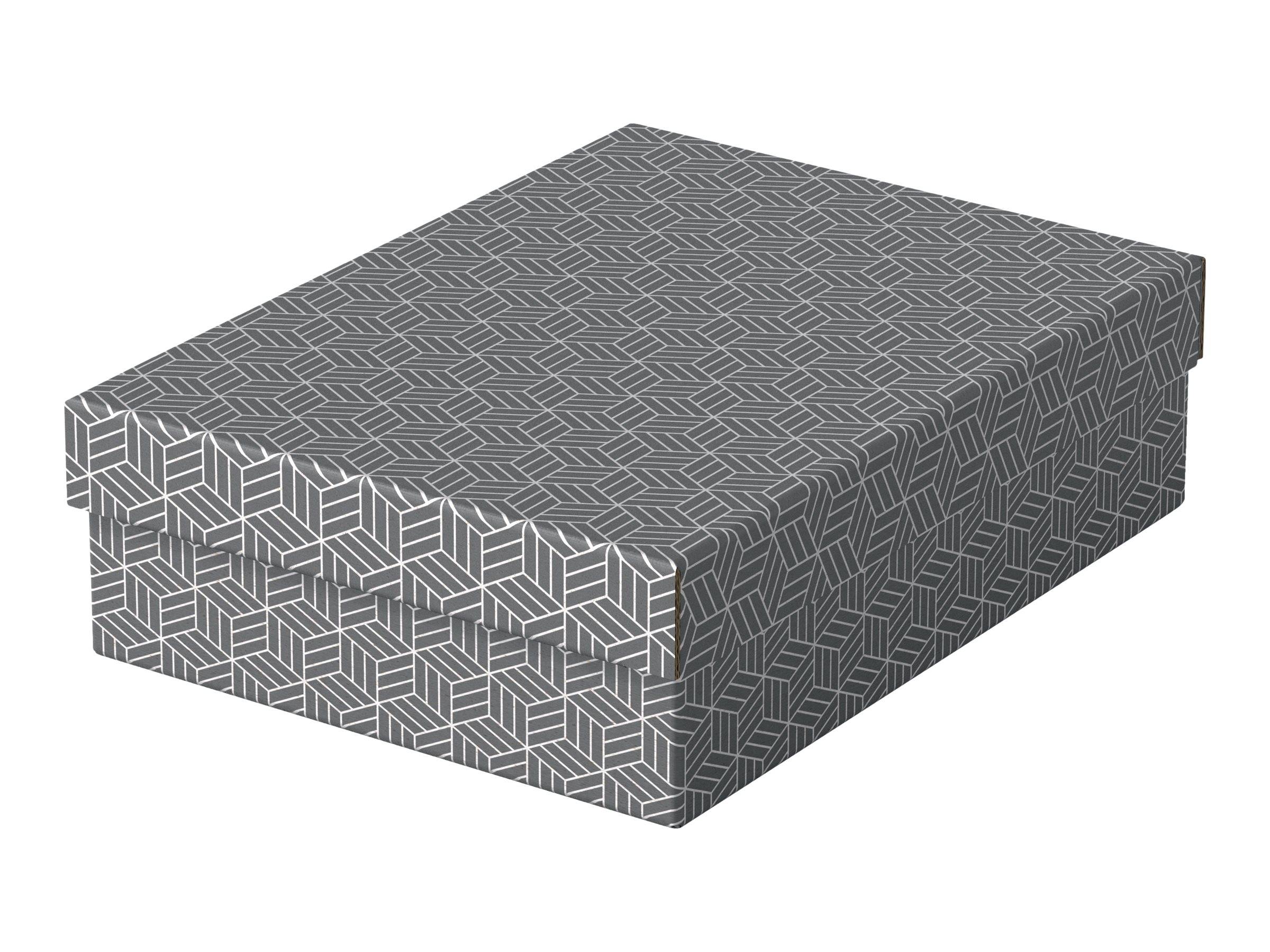 Esselte Leitz Geschenkkarton - medium - 36 cm x 26.5 cm x 10 cm