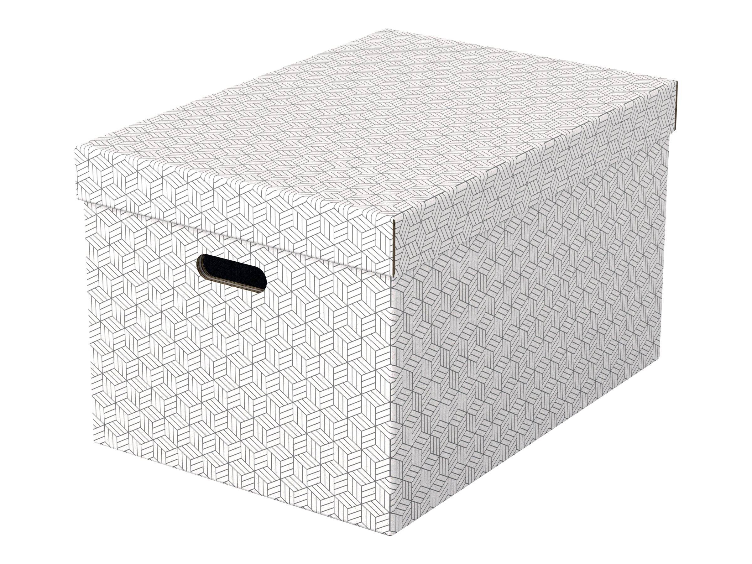 ESSELTE LEITZ - Esselte - Geschenkkarton - groß - 51 cm x 35.5 cm x 30.5 cm