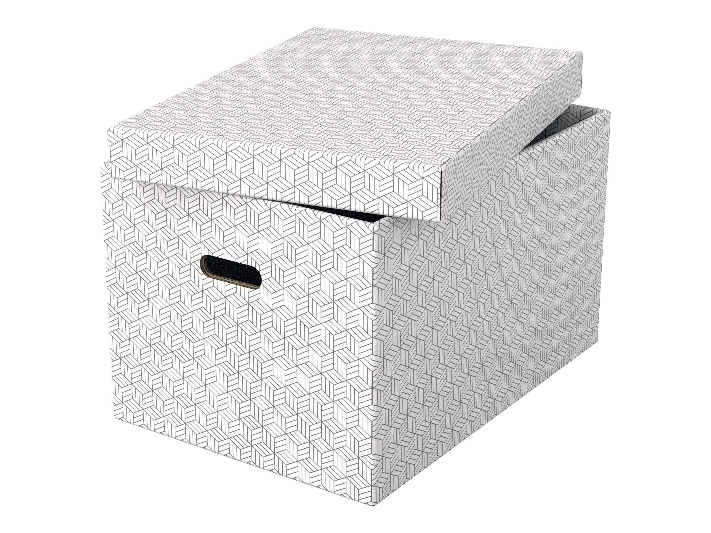 Esselte Leitz Geschenkkarton - groß - 51 cm x 35.5 cm x 30.5 cm