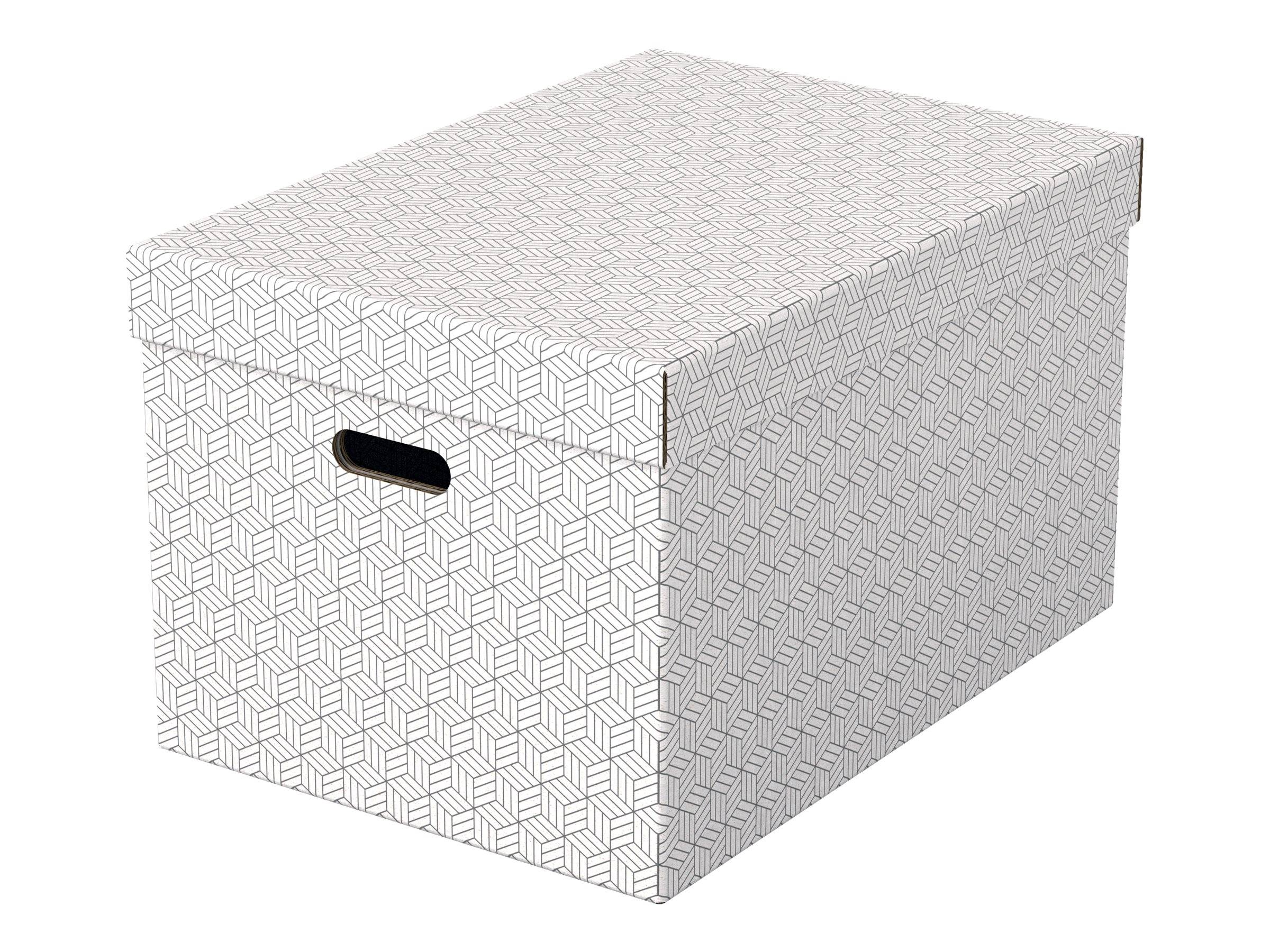 Esselte Leitz Geschenkkarton - groß - 51 cm x 35.5 cm x 30.5 cm