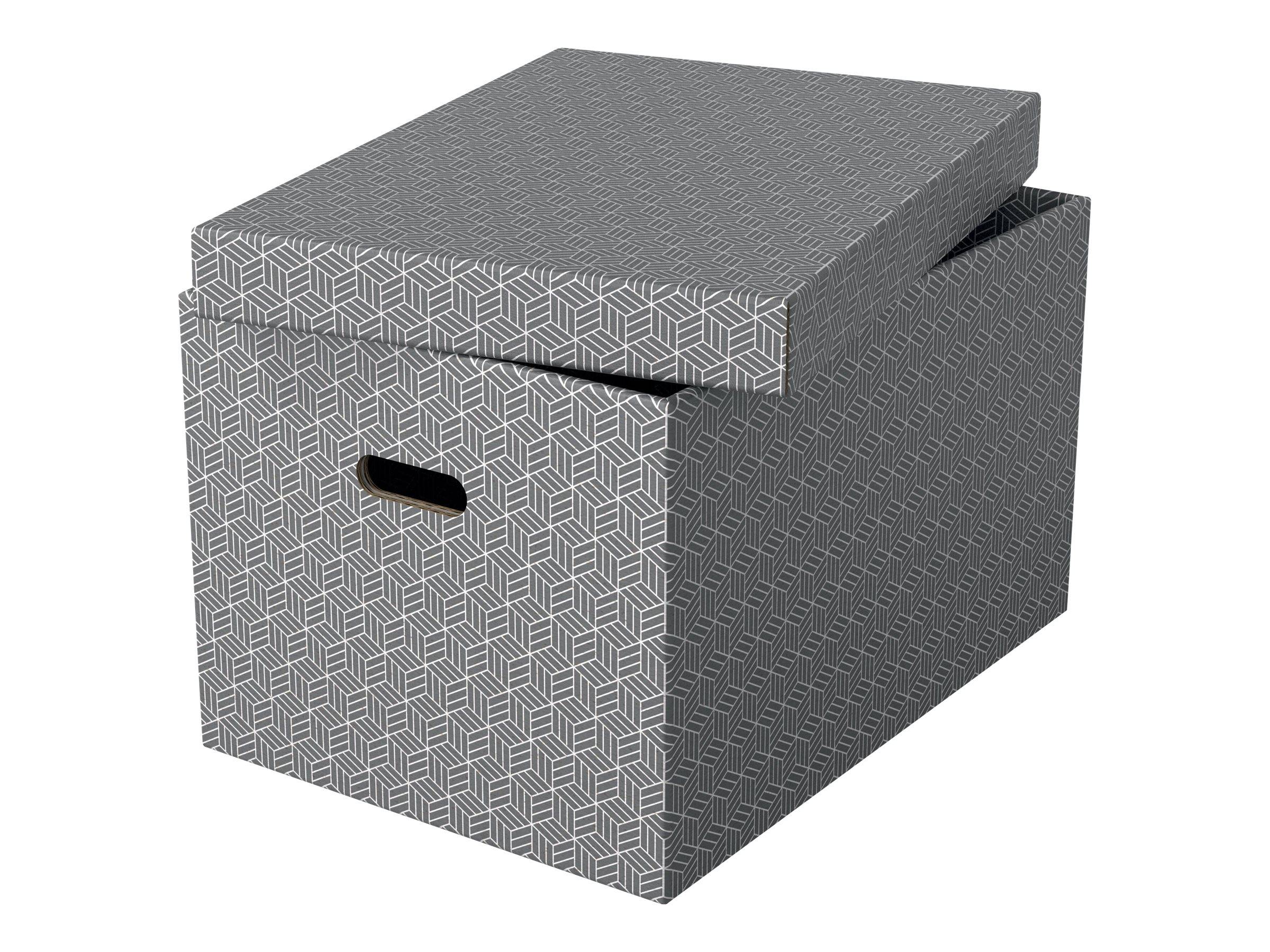 ESSELTE LEITZ - Esselte Home - Aufbewahrungsbox - groß - Grau (Packung mit 3)