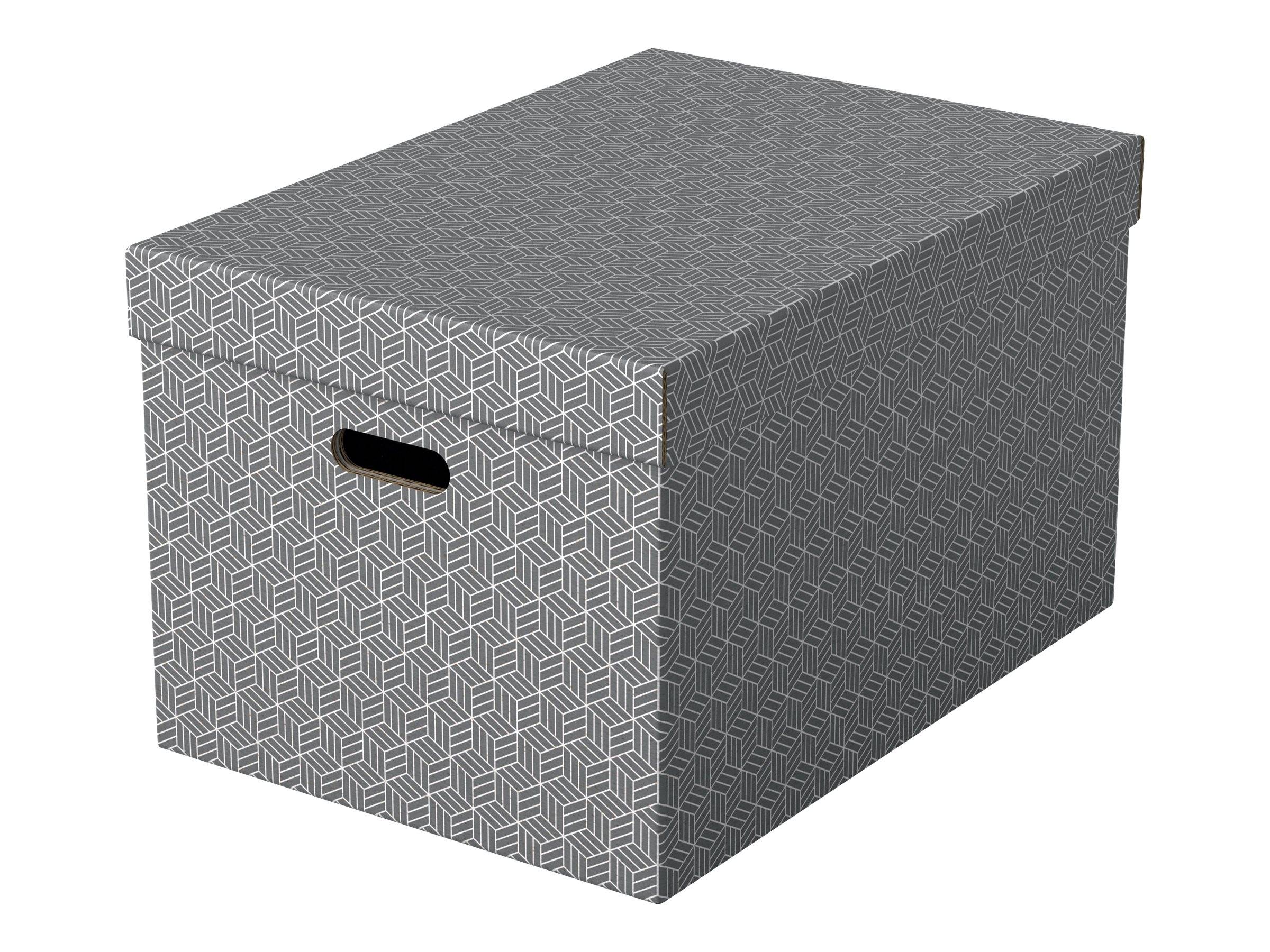 ESSELTE LEITZ - Esselte Home - Aufbewahrungsbox - groß - Grau (Packung mit 3)