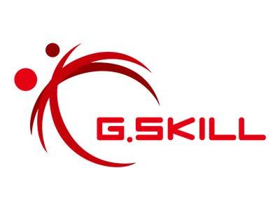 G.Skill Flare X5 F5-5200J4040A32GX1-FX5, 32 GB, 1 x 32 GB, DDR5, 5200 MHz, 288-pin DIMM