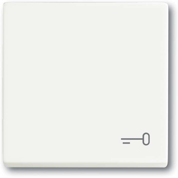 Busch-Jaeger Wippe mit Aufdruck 2520 TR-884