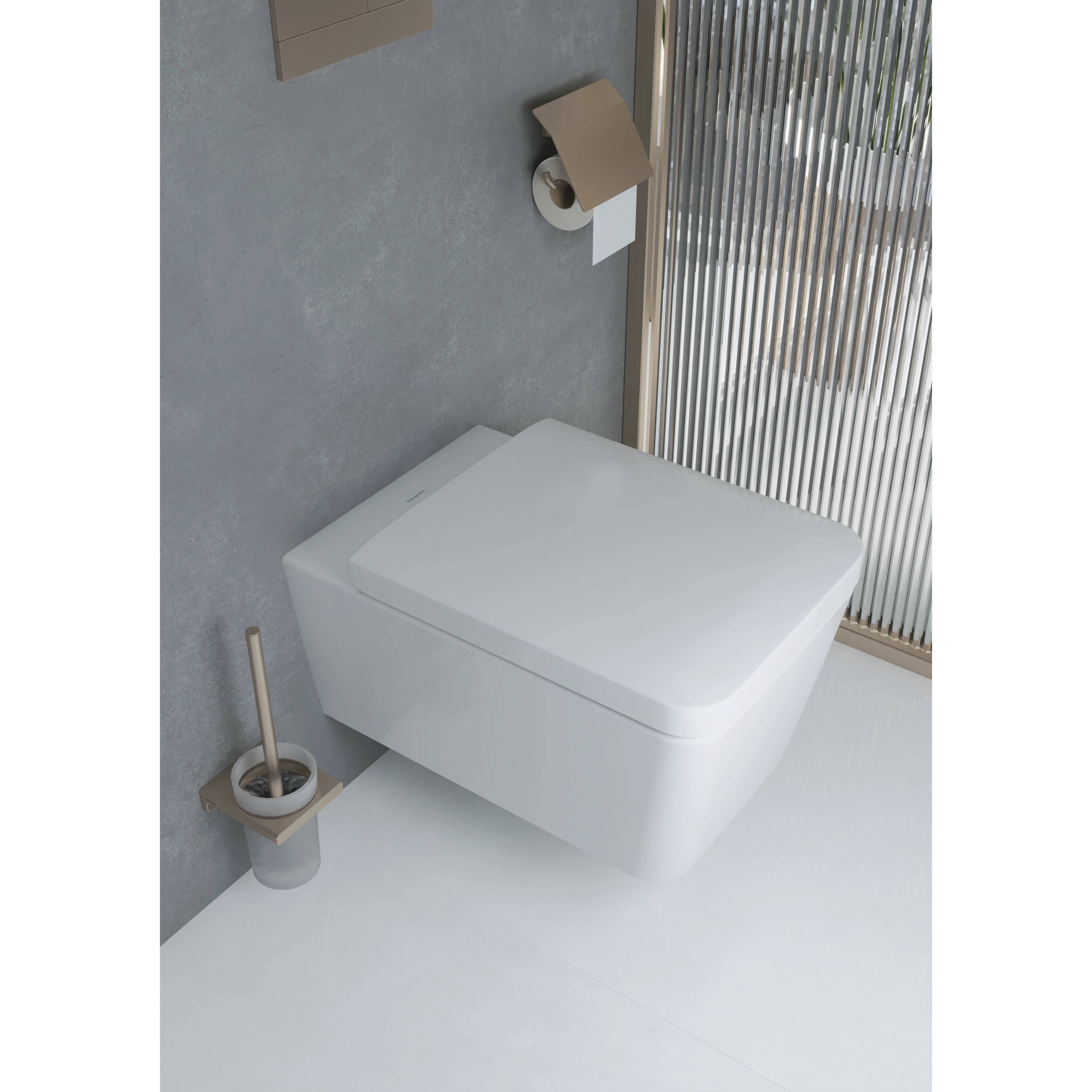 hansgrohe AddStoris WC Bürstenhalter Wandversion BBR, 1 Stk.