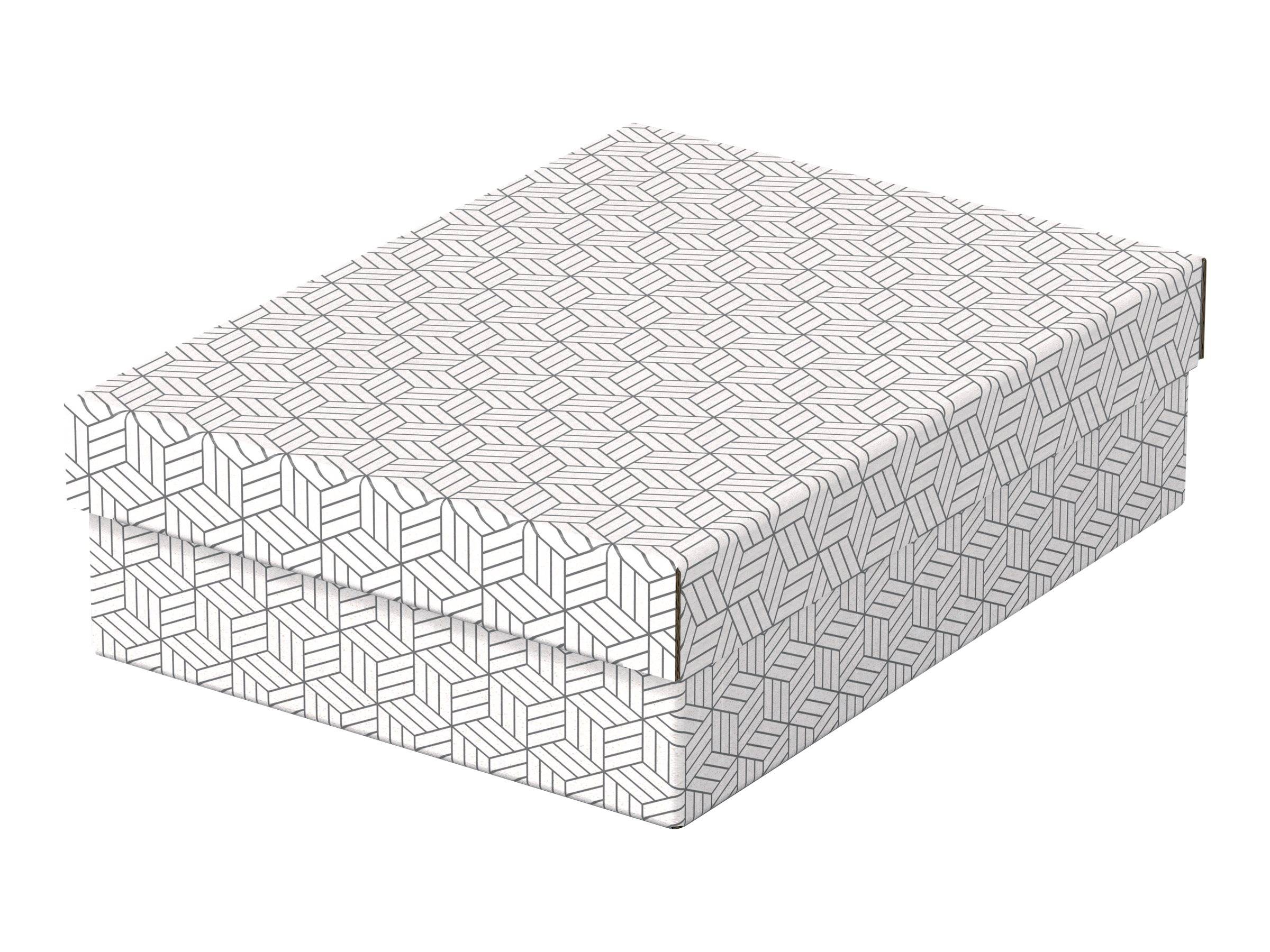 Esselte Leitz Geschenkkarton - medium - 36 cm x 26.5 cm x 10 cm