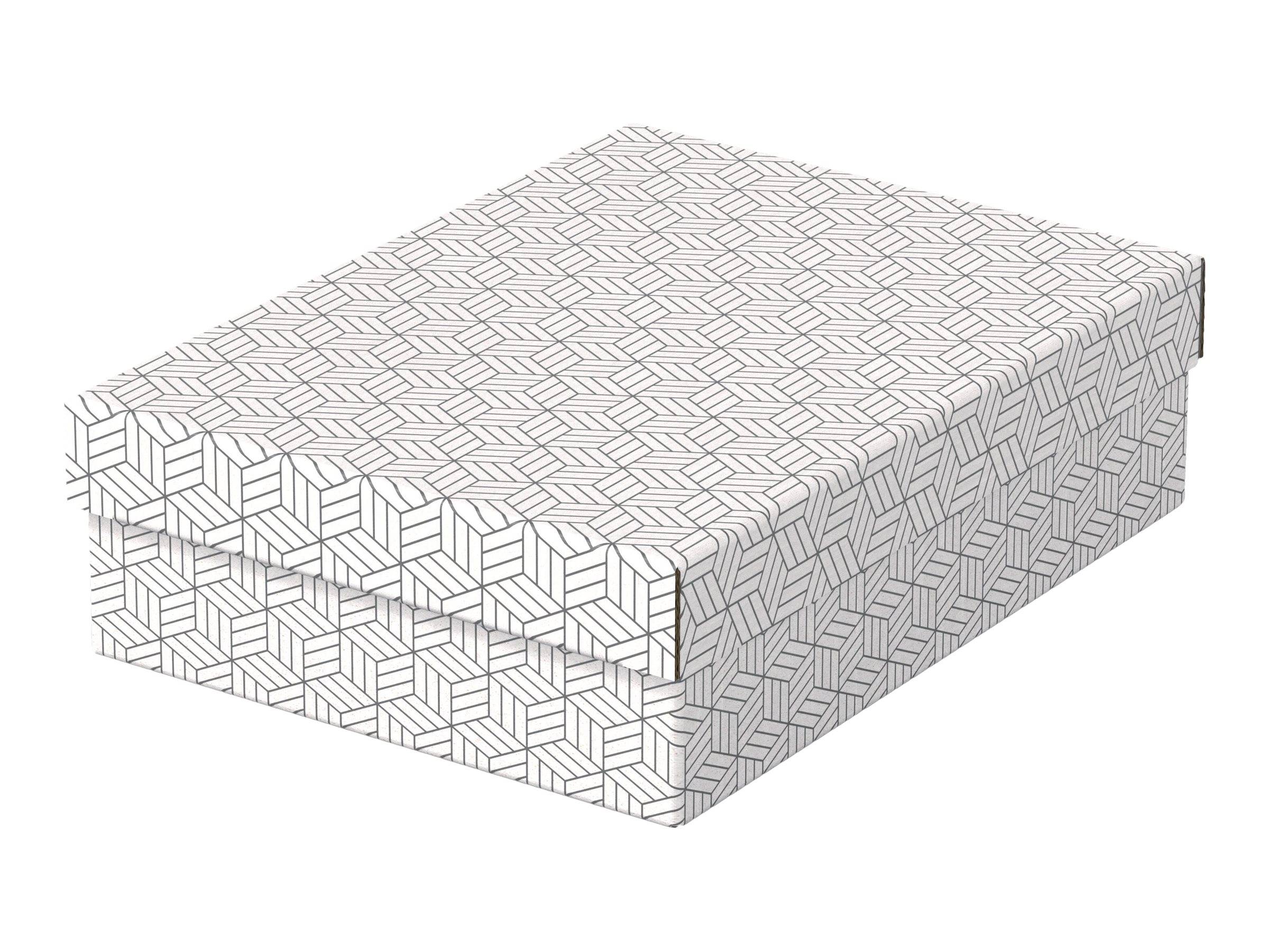 Esselte Leitz Geschenkkarton - medium - 36 cm x 26.5 cm x 10 cm