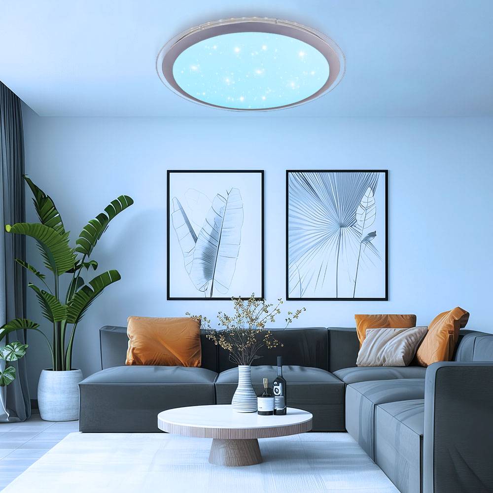 Smart Home Deckenlampe dimmbar mit Fernbedienung LED Deckenleuchte Wohnzimmerlampe, App-/Sprachsteuerung, 30W 1500lm warmweiß-kaltweiß, DxH 53 x 8,3