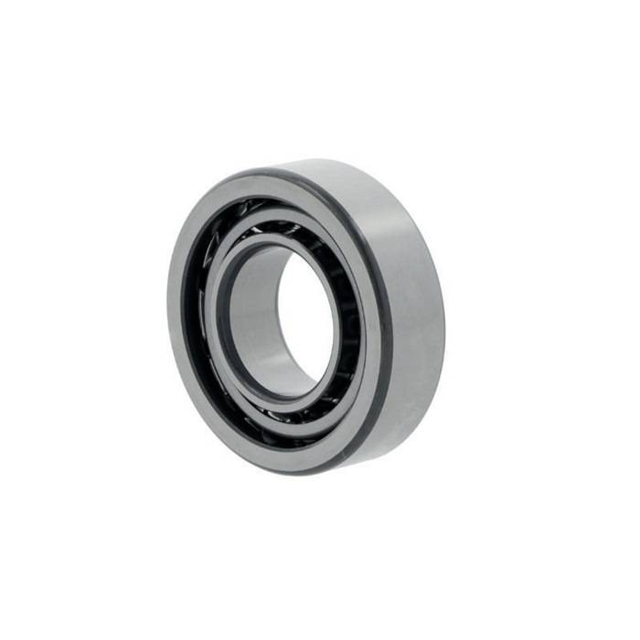 SCHKG 7306 BW ID 30mm AD 72mm Breite19mm NSK