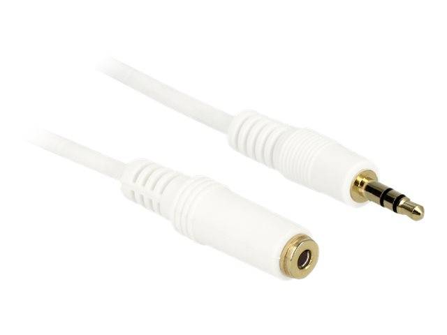 DeLOCK - Audioverlängerungskabel - Stereo Mini-Klinkenstecker (W)
