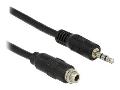 DeLOCK - Audioverlängerungskabel - Stereo Mini-Klinkenstecker (W)