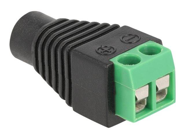 Delock - Adapter für Power Connector - 2-polige Klemmleiste bis Gleichstromstecker 3,5 x 1,35 mm (W)