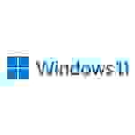 Windows 11 Pro 64Bit DSP 1pk Englisch DVD