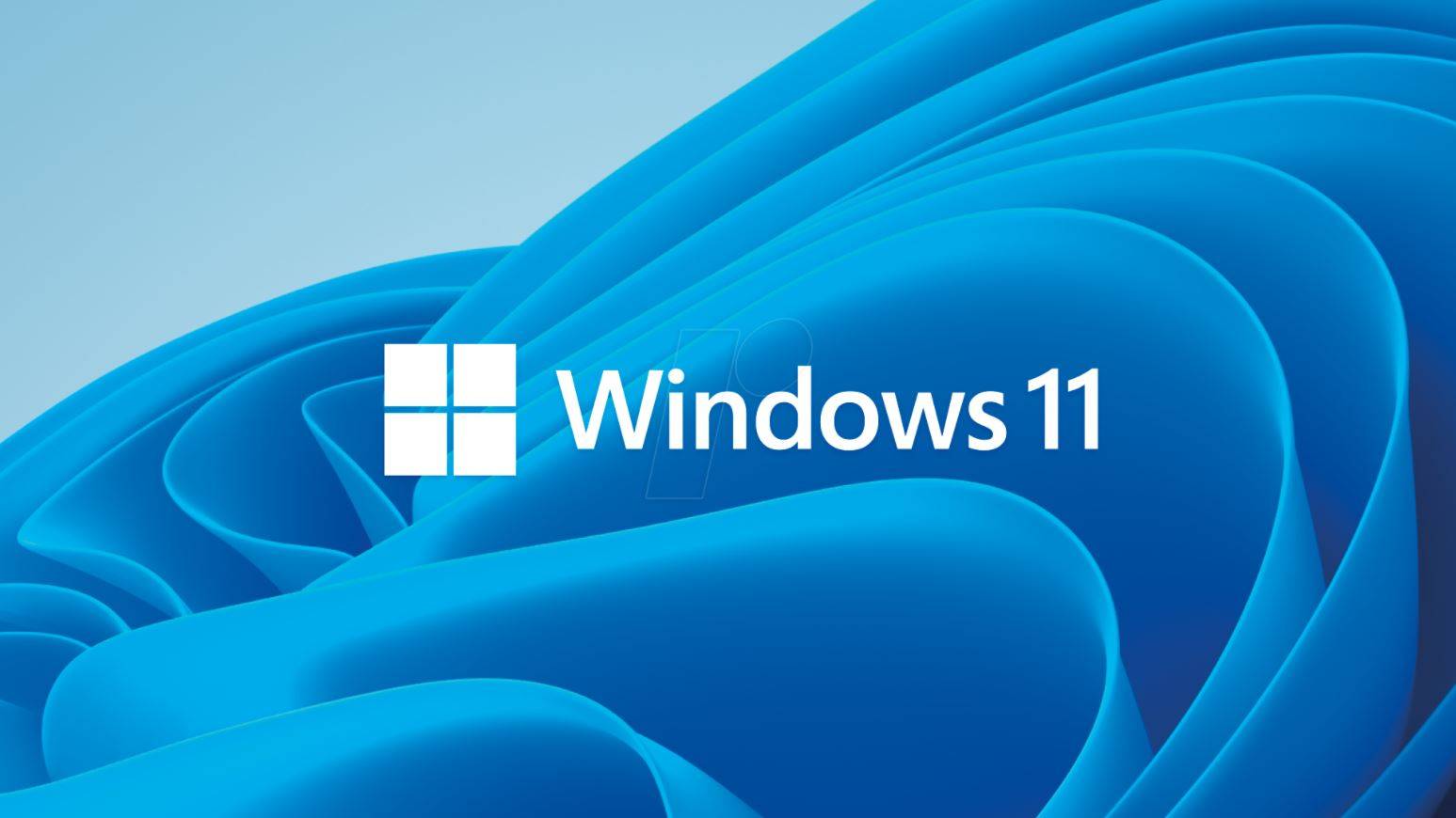 MICROSOFT - Windows 11 Pro for Workstations - Lizenz - 1 Lizenz