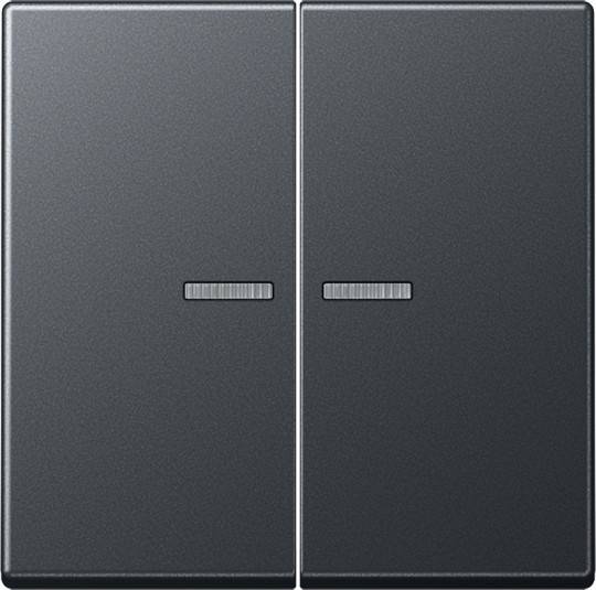 Jung Wippe A102KO5BFANM