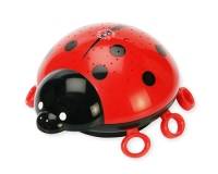 Ansmann Starlight, Schwarz, Rot, Kunststoff, AA