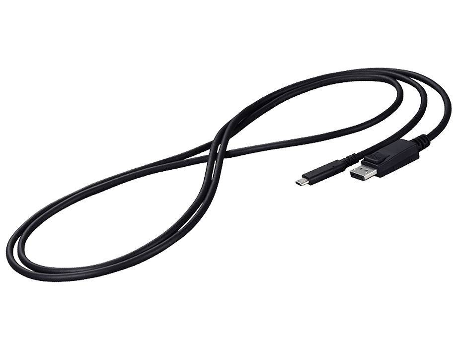 Eizo CP200 - Adapterkabel - USB-C (M) bis DisplayPort (M)