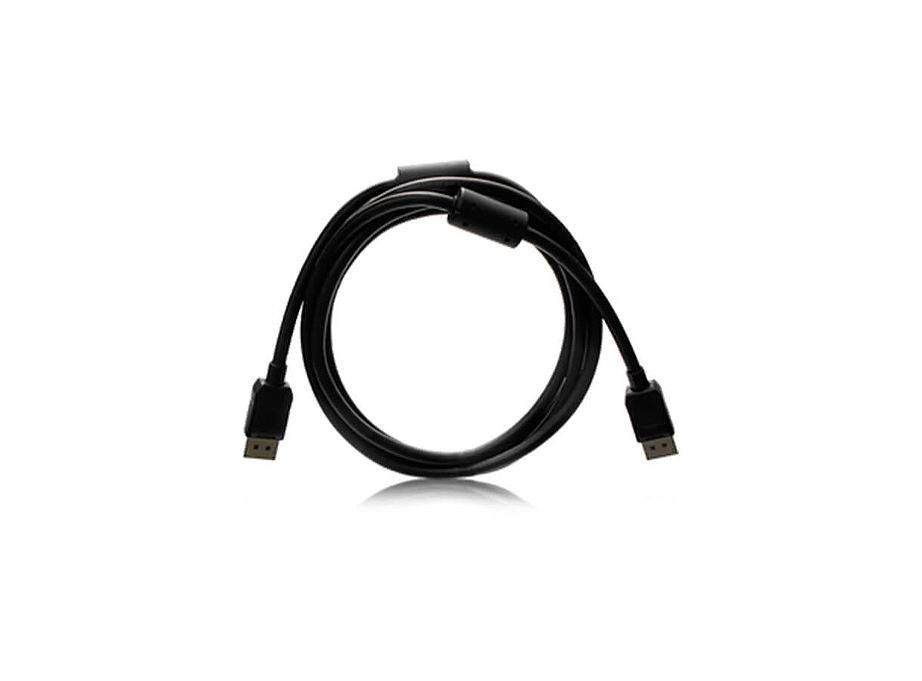 Eizo PP200-K - DisplayPort-Kabel - DisplayPort (M)