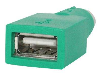 Nahaufnahme eines grünen USB-Typ-A-Buchsenadapters mit metallischer Portöffnung.