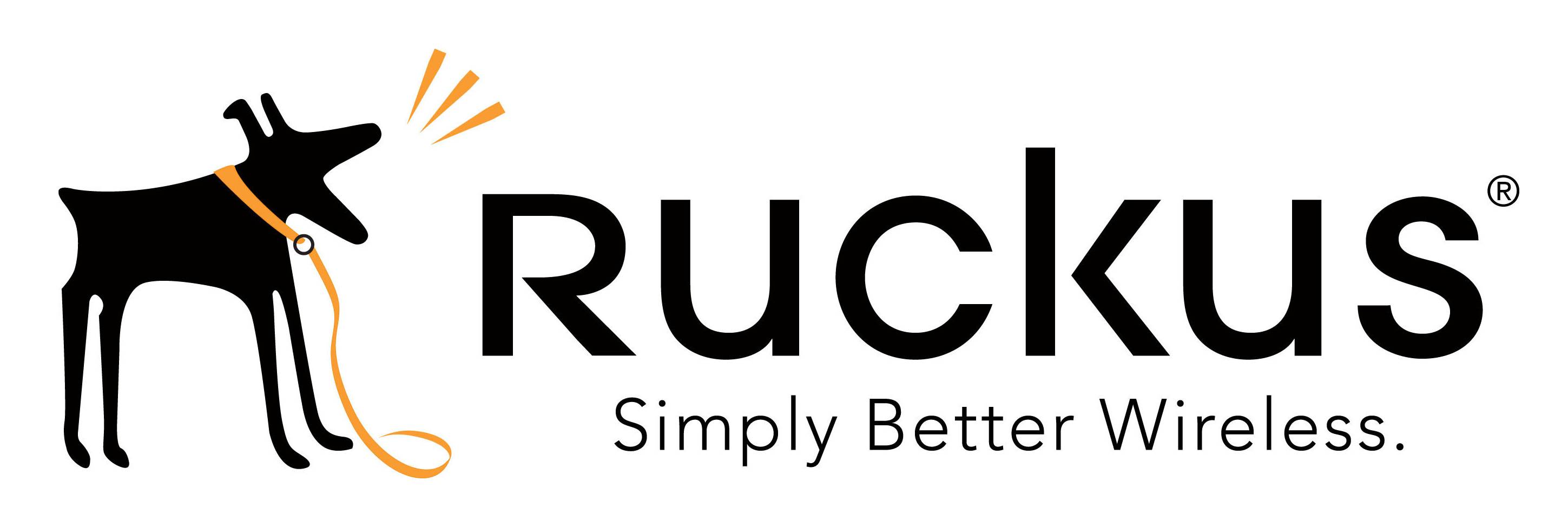 Ruckus ZoneDirector 3000 - Upgrade-Lizenz - 25