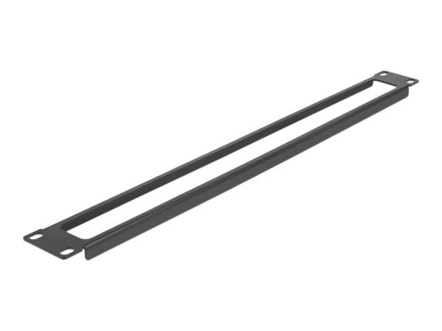 Delock - Rackpaneel - mit Öffnung - Schwarz - 1U - 48.3 cm (19")